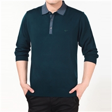 一件代发2013新款翻领男士长袖T恤休闲中年纯色时尚男体恤8216