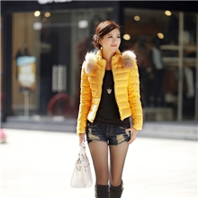 批发2013冬装新款女装短款貉子毛韩版修身羽绒女式棉衣