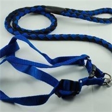 爱宠实心编制胸背牵引绳套装42-58cm(中大型幼犬)狗绳狗链