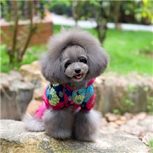 2013新款批发狗狗衣服猫衣服宠物衣服宠物服装狗狗服