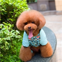 卖家推荐批发狗狗衣服猫衣服宠物衣服宠物服装狗狗服