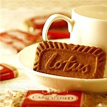 进口食品比利时lotus和情焦糖饼干312.5g(340)超市版正品