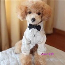 爆款！趣派春秋款英伦绅士宠物衬衫礼服狗狗猫咪衣服配领结