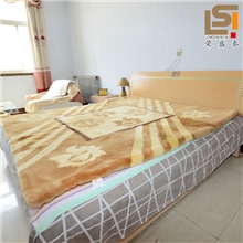 羊剪绒床毯澳洲羊毛床垫坐垫皮毛一体床褥剪绒