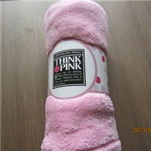 珊瑚绒毯/珊瑚绒绣花毯/刺绣LOGO毛毯/优质288F珊瑚绒毛毯