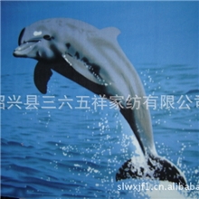 小动物印花/双面绒毛毯/优质特价/盖毯/刷毛毯