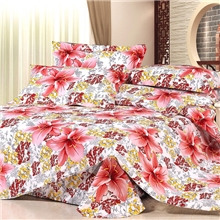 金富鸟家纺冬季新品全棉活性生态阳光绒澳绒秋保暖四件套