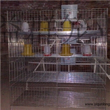 生产雏鸡笼厂家直销优质镀锌4层育雏鸡笼小鸡笼全国批发零售
