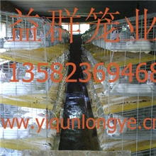 生产4层20位优质彩镀锌加粗型商品兔笼育肥兔笼厂家直销