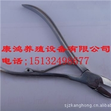 供应兽用剪牙钳猪用剪牙钳(全不锈钢)兽用器械