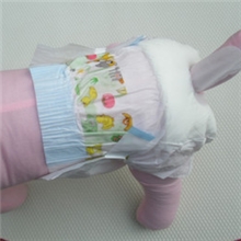 批发供应宠物尿片狗狗纸尿裤狗狗生理裤卫生裤月经裤狗尿片