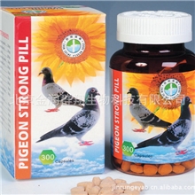 鸽补丸-进口信鸽保健药品缓减身体虚弱强肝解毒
