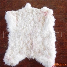大量供应生长毛兔皮