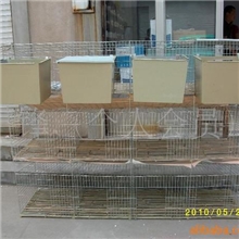 供应仔母笼（免投粪式仔母笼）