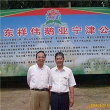 最新养殖技术、养鹅场建设规划、养鹅效益分析找13385409877