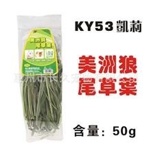 Kerry53美洲狼尾草叶兔子、天竺鼠、龙猫