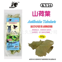 Kerry16凯莉山荷叶兔子、天竺鼠、龙猫