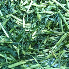 批发供应大麦草苗段粗纤维绝对香绿调胃口排虫10公斤一件