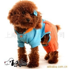 缤纷彩色牛仔四角装|橙色|可以混批|宠物服装批发