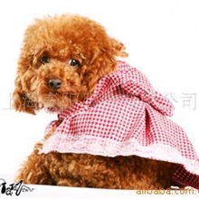 批发供应宠物用品【支持小额批发】