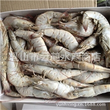 【大促销】印度虾酒店专用【图】