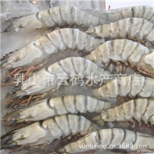 厂家批发水产品竹节虾酒店专用虾【图】