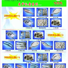 厂家直销供应各种青岛本地优质水产海鲜精品海鲜礼盒