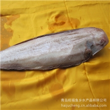 供应野生舌头鱼鱼类产品水产品厂家直销【图】