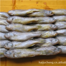 供应青岛优质多种鲜活海产品青岛海产品鲜活海产品