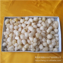 专业批发优质扇贝柱冷冻扇贝柱【图】