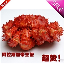 批发帝王蟹阿拉斯加帝王蟹熟冻新鲜规格齐全衡丰水产