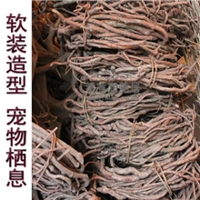 枯藤树藤黑枯藤老树藤红山藤造型藤家居变色龙蜥蜴宠物鸟栖木藤