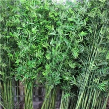 厂家直仿真竹子隔断客厅装饰竹子盆景假竹子批发竹林造景效果好