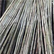 特粗假竹子粗竹子隔断屏风装饰8-11cm粗竹子高度颜色可订