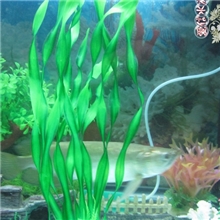 仿真水草海带水兰水族装饰品鱼缸造景塑料塑胶假水草批发A059