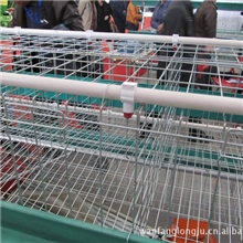 万方养殖笼具供应批发鸡笼，蛋鸡笼，养鸡设备养鸡用品蛋鸡笼价格