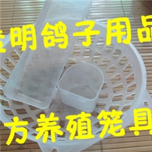 厂家批发鸽子笼配件笼子配套设备鸽子笼肉鸽笼养鸽用品鸽子草窝