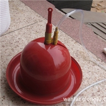 厂家批发优质普拉松自动饮水器散养鸡鸭用自动饮水器