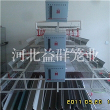 *生产鸡笼蛋鸡笼3层4阶梯式鸡笼养鸡设备鸡笼厂批发