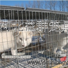 生产狐狸笼貉子笼优质狐狸笼全国批发零售