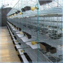 12位商品鸽养殖笼鸽子笼鸽子笼子厂家直销批发定做