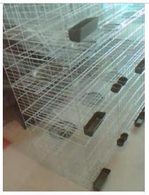 鸽笼12位鸽子笼、食盒、蛋窝、饮水器厂价直销批发定做