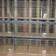 无底子母兔笼养殖专用兔笼厂家直销可来样定做