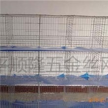 批发优质经济型兔笼12位商品兔子笼镀锌笼子