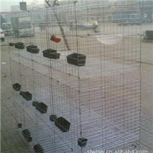 厂家直销鸽子笼鸽场养殖鸽笼12位鸽笼子