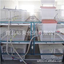 全国热销肉食鸡养殖用塑料鸡笼