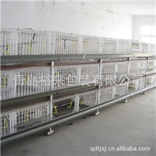 青岛加工销售肉食鸡养殖用塑料鸡笼