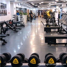 【厂家】橡胶地板-健身房、人造冰场辅助区、多功能厅