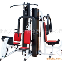 北京天实公司综合训练器专业生产厂家直销