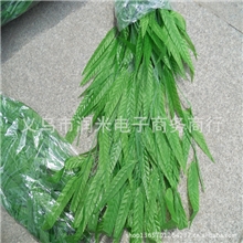 仿真柳叶仿真柳条批发仿真叶藤批发装饰用柳叶条